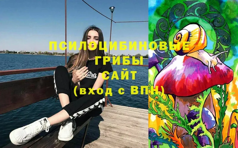 цены наркотик  Петровск-Забайкальский  omg ONION  Псилоцибиновые грибы Magic Shrooms 